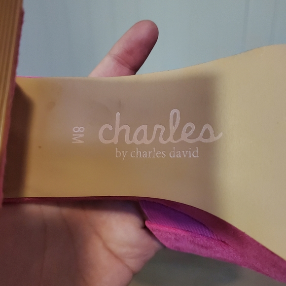 Elyse Sandals Charles David Fuschia Barbie Pink Platform Heels Block Heels Hot - Picture 10 of 13